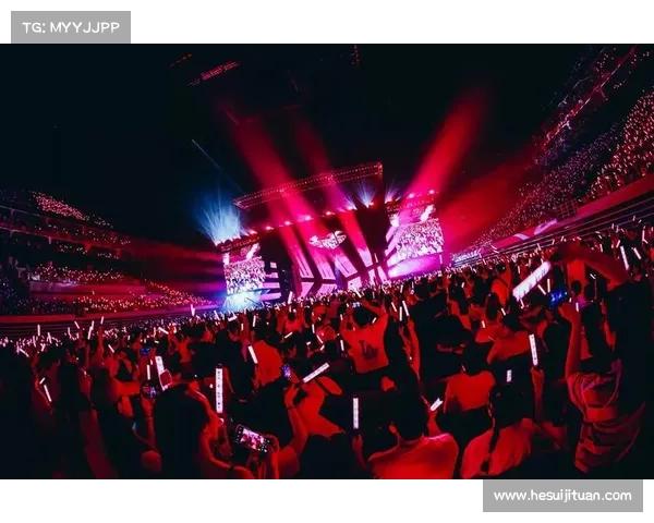 大麦网演出赛事票品是什么