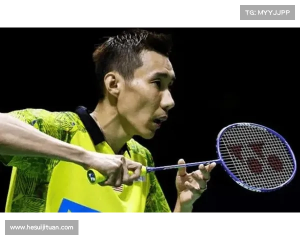 李宗伟赛事总结