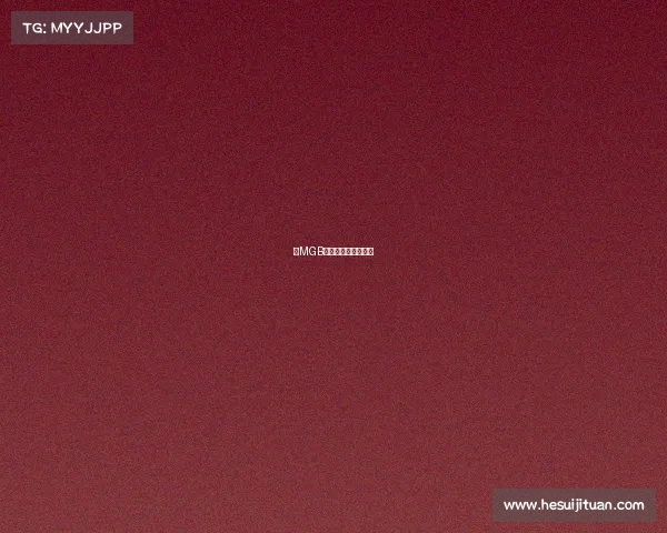 《MGB电竞战队剑指巅峰》