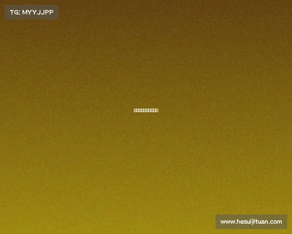 南充电子科技职业学院